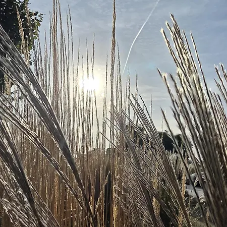 Neu Kajüte 11 - Mit Balkon - Strandnah - Apartmenthaus-usedom Fam Stopp Kolpinsee